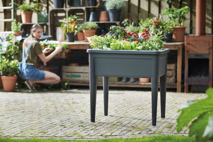 green basics grow table super xxl living black